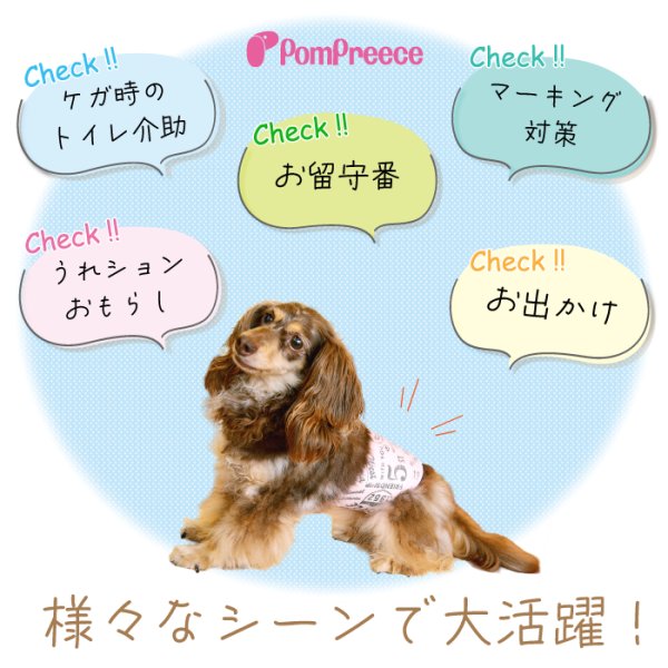 画像3: マナーパット不要！高吸収マナーベルト［5号］ (3)