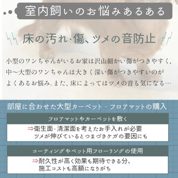 画像6: ソックス アーガイル LL (6)