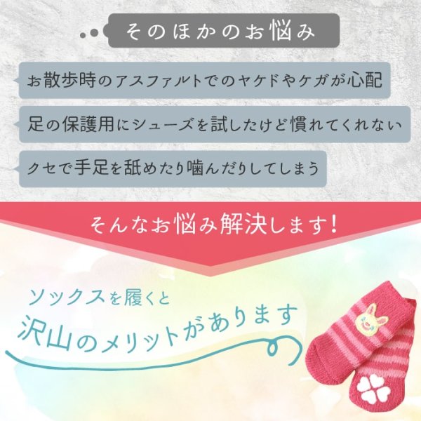 画像7: ソックス アーガイル 3L (7)