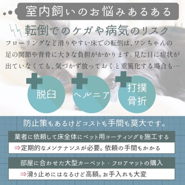 画像5: ソックス アーガイル LL (5)