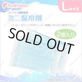 画像: スーパー胴輪用 ミニ保冷剤 Ｌ(2個入）