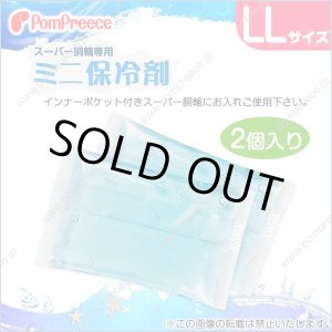 画像: スーパー胴輪用 ミニ保冷剤 ＬＬ(2個入）