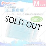 画像: スーパー胴輪用 ミニ保冷剤 Ｍ(2個入）