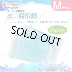 画像: スーパー胴輪用 ミニ保冷剤 Ｍ(2個入）