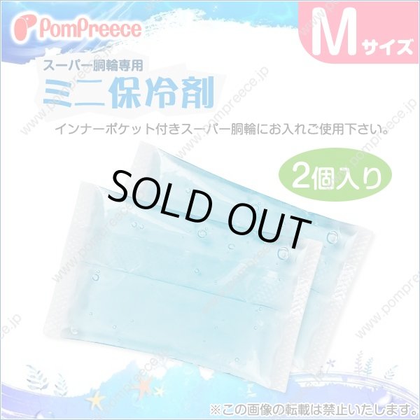 画像1: スーパー胴輪用 ミニ保冷剤 Ｍ(2個入） (1)