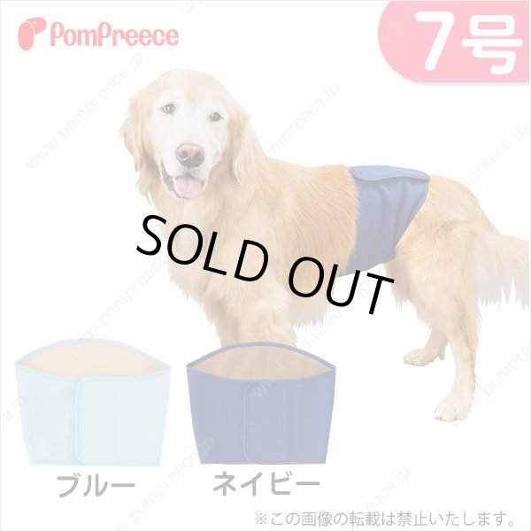 画像1: 【記念価格】 Sマナーベルト&洗えるオムツ プレミアム ［7号］ (1)