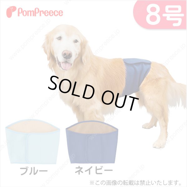 画像1: 【記念価格】 Sマナーベルト&洗えるオムツ プレミアム ［8号］ (1)