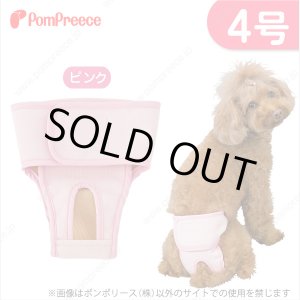 画像: 【記念価格】 ベルト型サニタリーパンツ&洗えるオムツ ［4号］