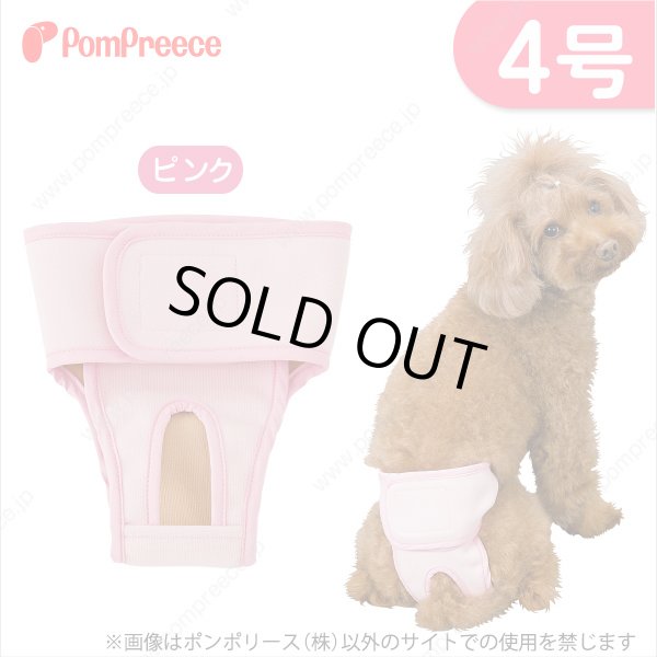 画像1: 【記念価格】 ベルト型サニタリーパンツ&洗えるオムツ ［4号］ (1)