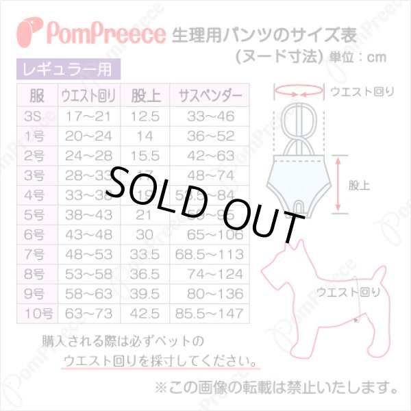 画像3: 【記念価格】 ベルト型サニタリーパンツ&洗えるオムツ ［4号］ (3)