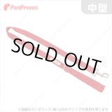 画像: 【お買い得】持ち手クッション付リード　ドッグスター　中型