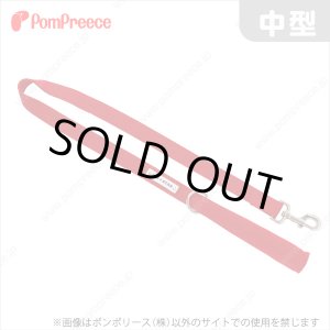 画像: 【お買い得】持ち手クッション付リード　ドッグスター　中型