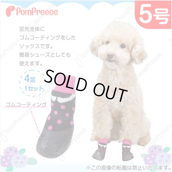 ソックシューズ ファニードット【5号】