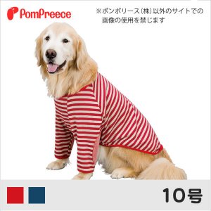 画像: 中大型犬用 肘パッチ付きラグランＴ 10号