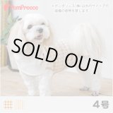 画像: 【ズバリ価格】フェアオーガニック スカーフ付きＴシャツ 4号