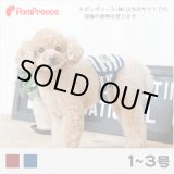 画像: マナーベルト ボーダーニット 1〜3号