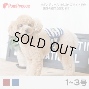 画像: マナーベルト ボーダーニット 1〜3号