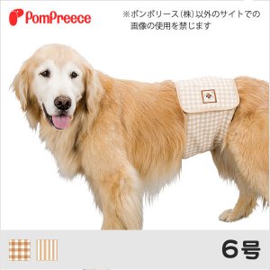 画像: 中大型犬マナーベルト フェアオーガニック 6号