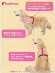 画像6: 中・大型犬用 スーパーハーネス タータンチェック 【6号】 (6)