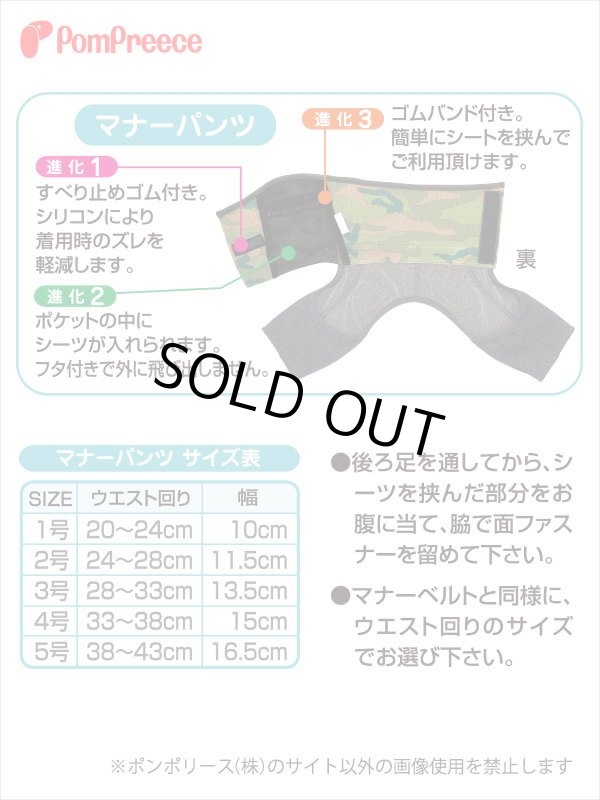 画像3: 【ズバリ価格】レギンス付き マナーパンツ 4号 (3)