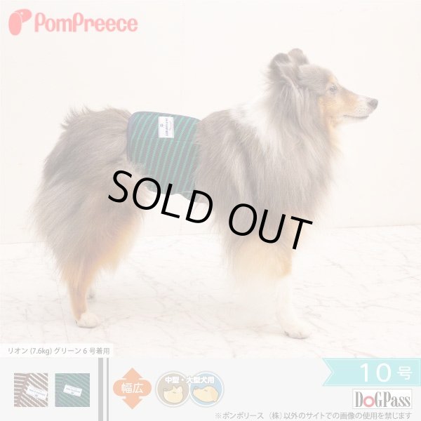 画像1: 中大型犬用 マナーベルト メッシュストライプ 10号 (1)