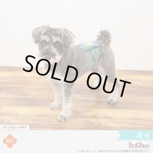 画像: マナーベルト 唐草富士山 4号