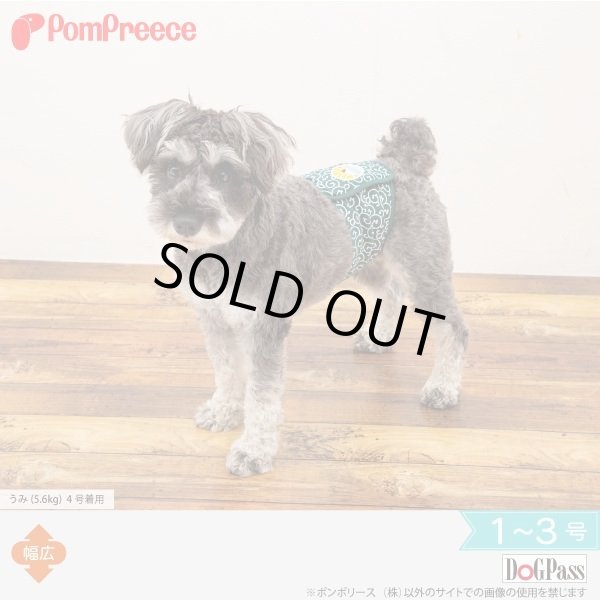 画像1: マナーベルト 唐草富士山 1〜3号 (1)