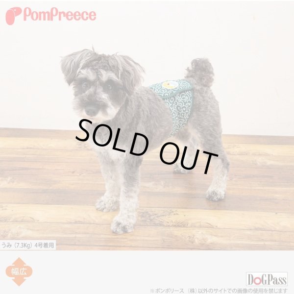 画像2: マナーベルト 唐草富士山 4号 (2)