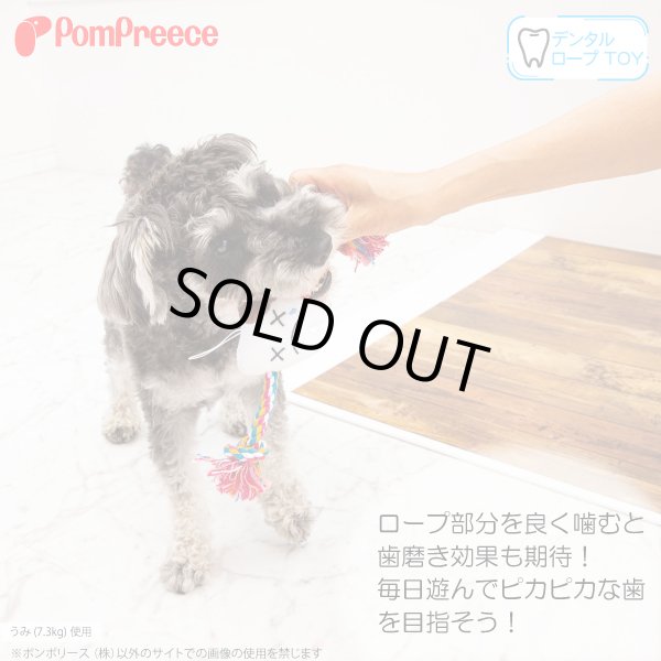 画像2: ロープTOY デンタルファミリー (2)