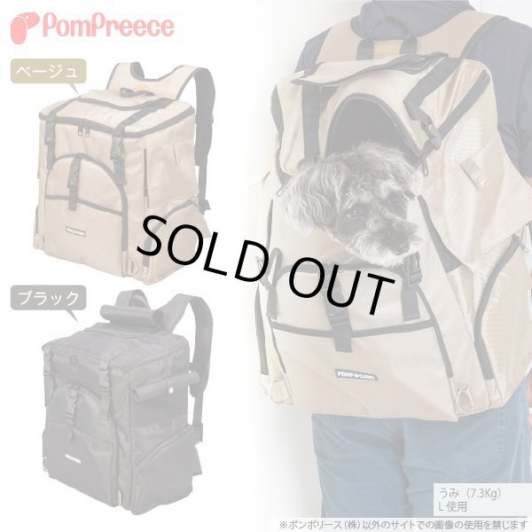 画像2: 12Kg対応 ランドリュック ビッグフィットキャリー (2)