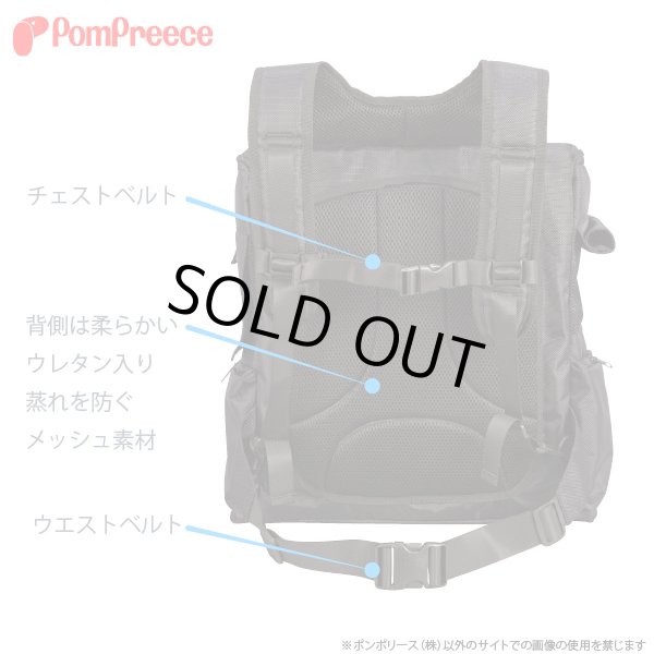 画像4: 12Kg対応 ランドリュック ビッグフィットキャリー (4)