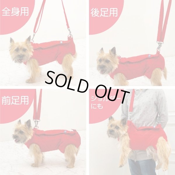 画像6: ロング用 オス・メス兼用3WAY ケアハーネス 2号 (6)
