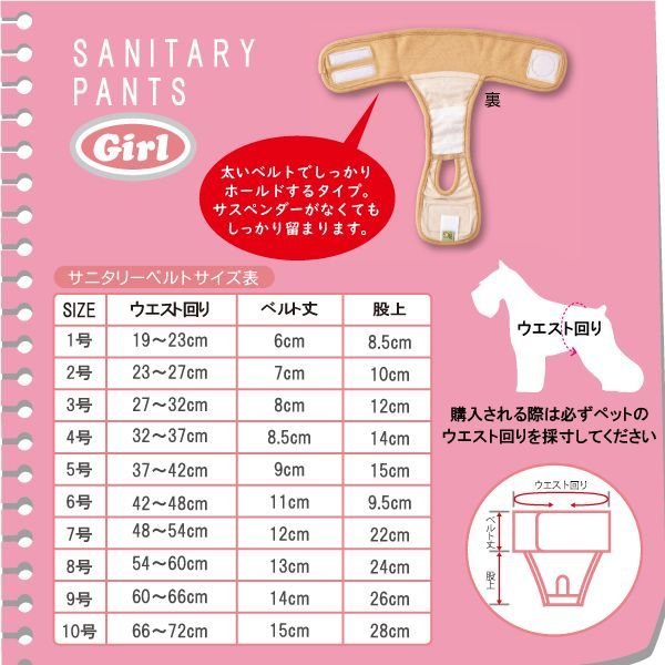 画像2: 中大型犬用 ベルト型サニタリーパンツ 水玉 7号 (2)