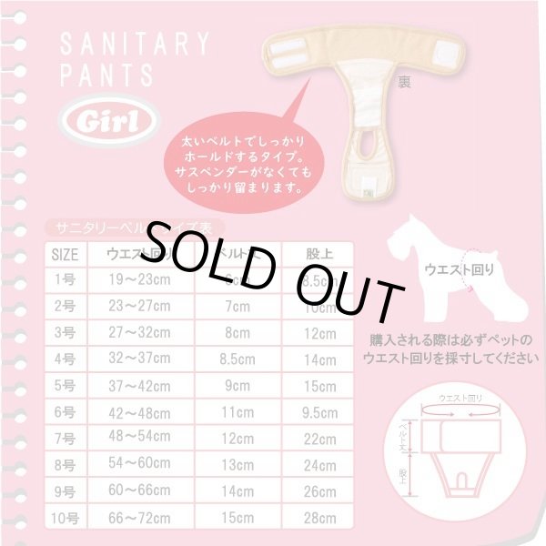 画像2: 中大型犬用 ベルト型サニタリーパンツ 水玉 10号 (2)