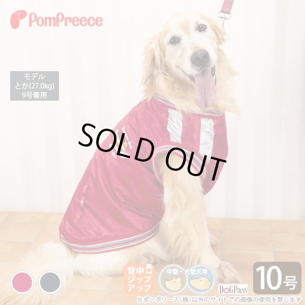 画像1: 【特別奉仕価格商品】中・大型犬用スカジャン【10号】 (1)