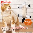 画像3: [ネコpom]猫用術後カバーオール オーガニックボーダー【2・3号】 (3)