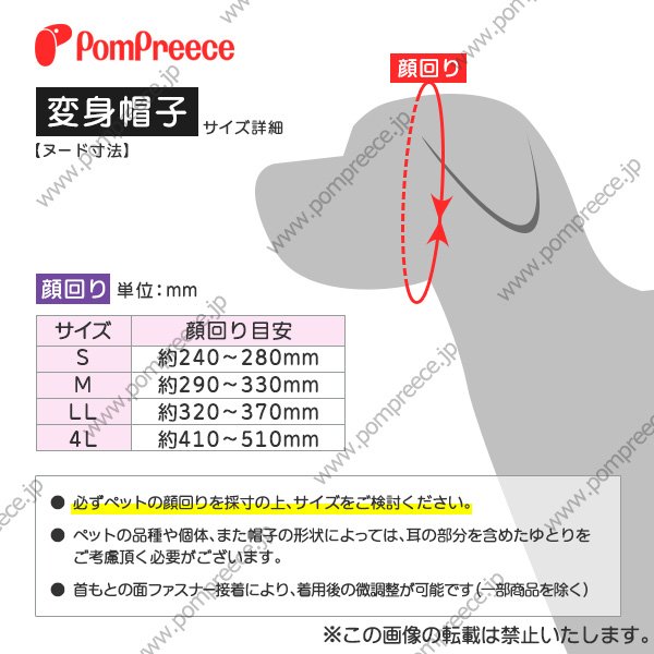 画像2: サンタボーシ 4L (2)